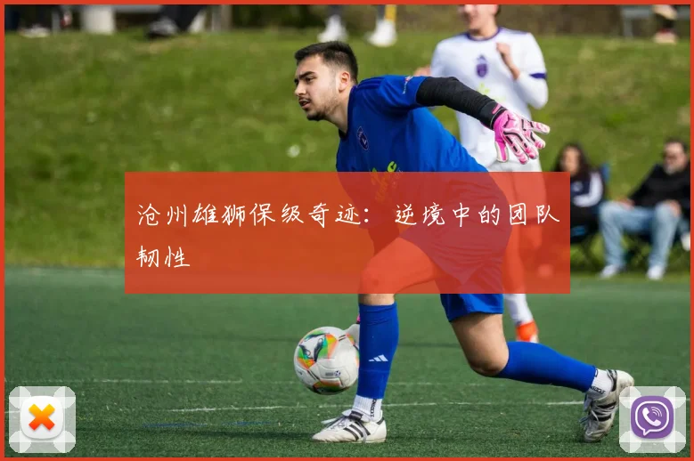 沧州雄狮保级奇迹：逆境中的团队韧性