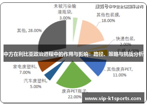 中方在利比亚政治进程中的作用与影响：路径、策略与挑战分析