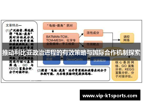 推动利比亚政治进程的有效策略与国际合作机制探索