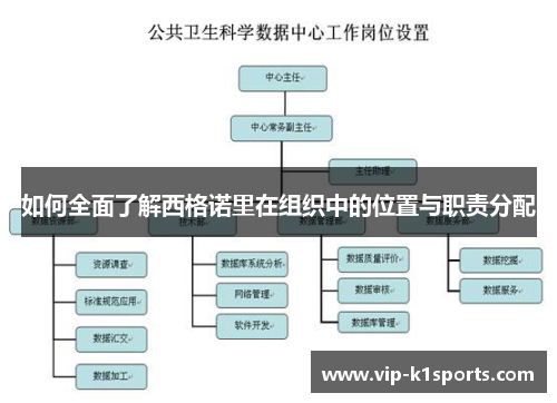 如何全面了解西格诺里在组织中的位置与职责分配